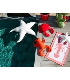 Buitenkussen Kreeftvorm -Meubilair Verkoop 0eb2490bd482473a92c8794006de4d0a