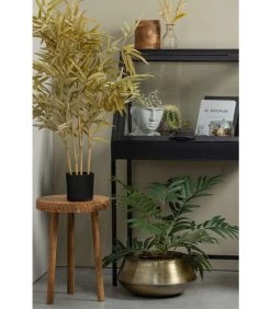 Dido Glazen Kastje - Hout - Zwart - 109x65x45 -Meubilair Verkoop a8097a0486344da499618c5b224152f9