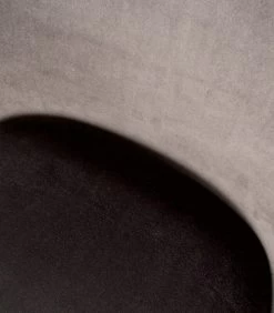 VTwonen Mood Eetkamerstoel - Velvet - Antraciet - Set Van 2 -Meubilair Verkoop eb92762819d44ed6baf2e5b9a25b8353